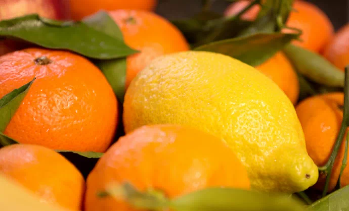 Cytryny i pomarańcze